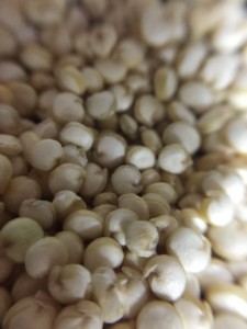 Quinoa_real_origen_Bolivia4_ydauxj_c_scale,w_496